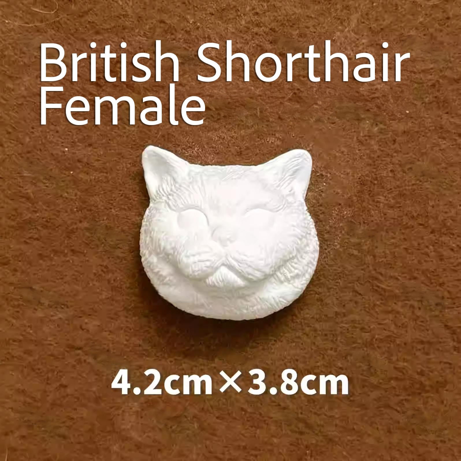 Magnetic Pet Figurine DIY Kit