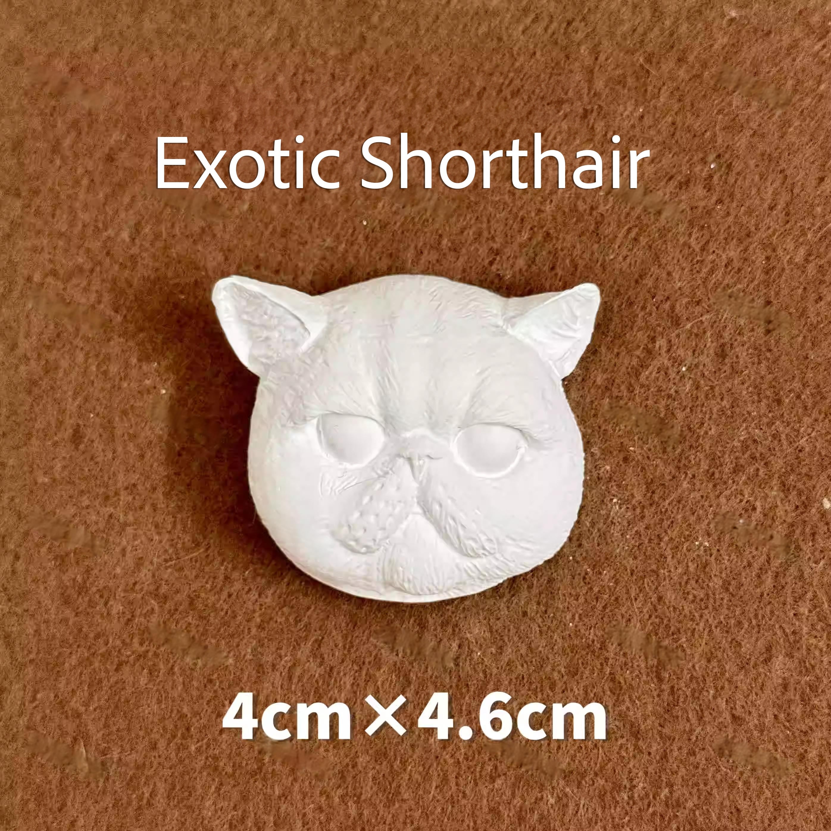 Magnetic Pet Figurine DIY Kit