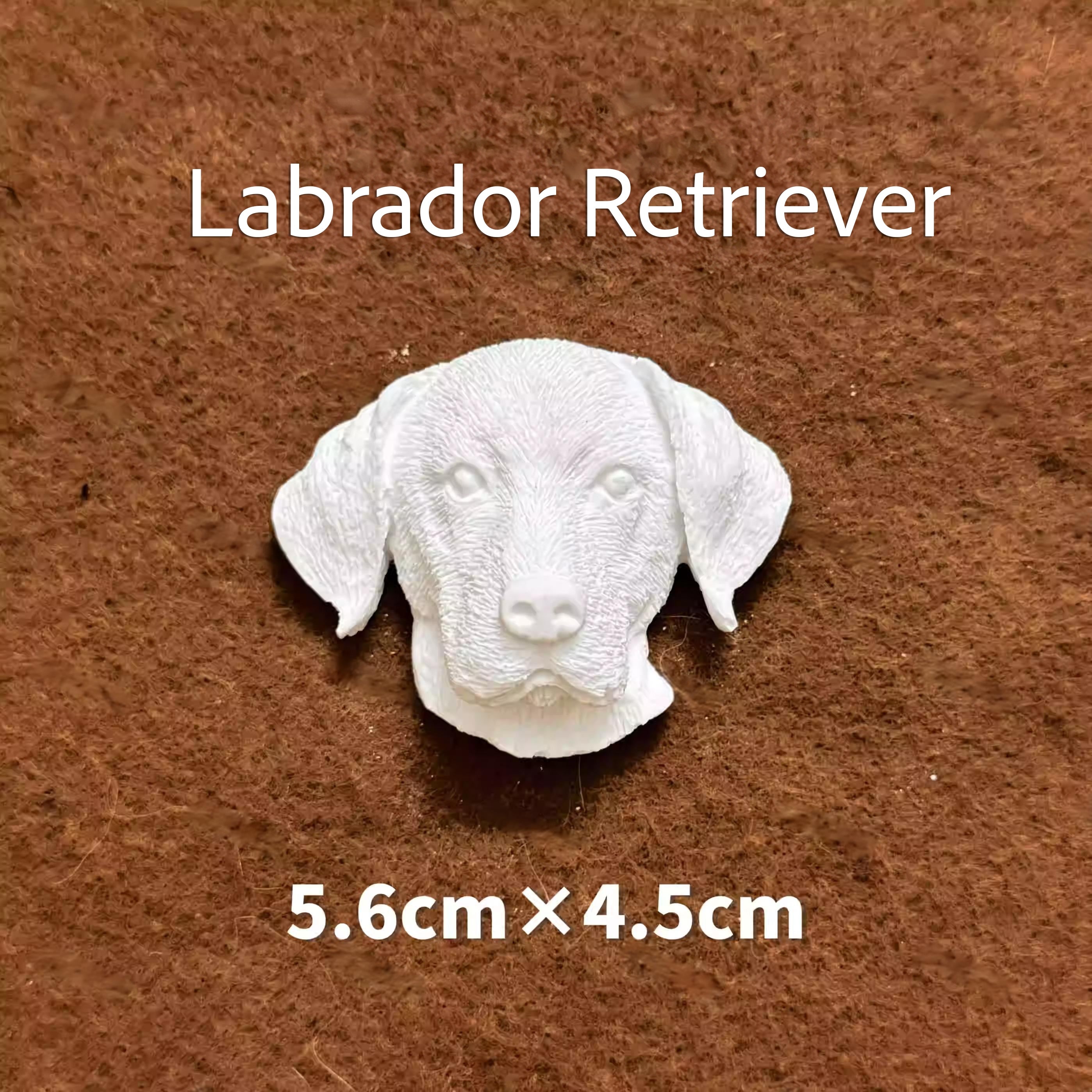 Magnetic Pet Figurine DIY Kit